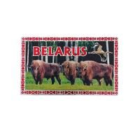 Магнит, арт IGF190803Z